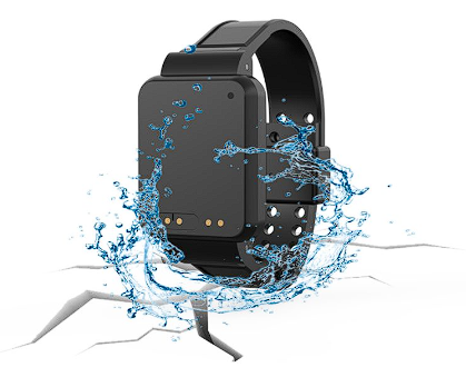 2.45G有源防拆測溫腕帶